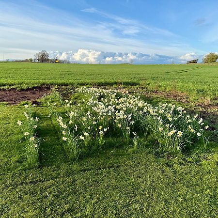 Stora Loenn Villa Falkenberg Dış mekan fotoğraf
